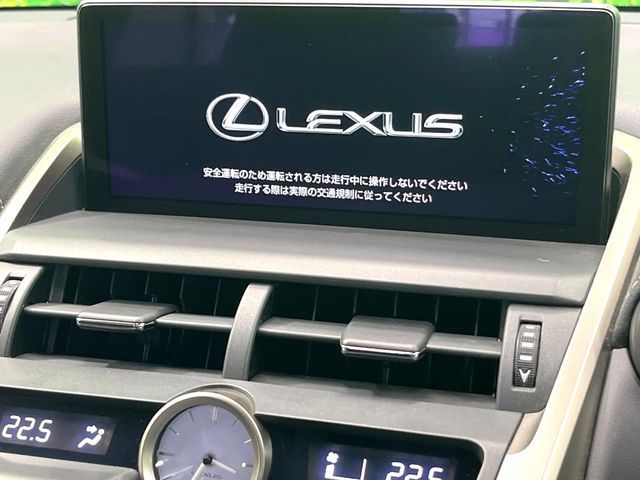 LEXUS NX300