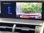 LEXUS NX300