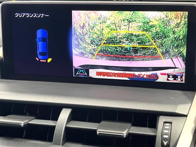 LEXUS NX300