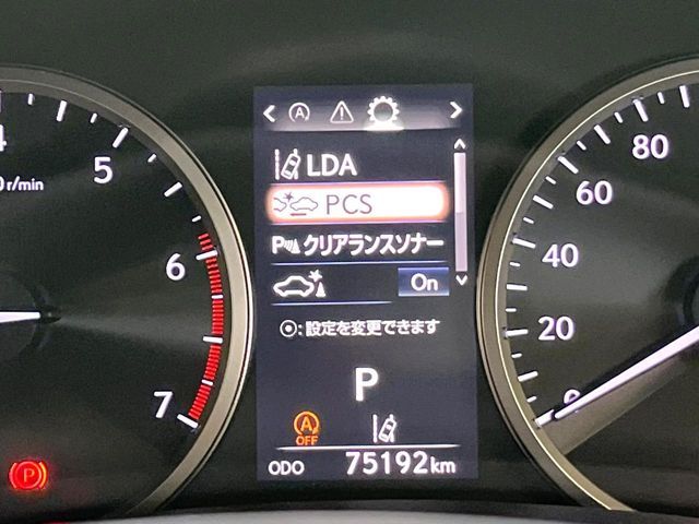 LEXUS NX300
