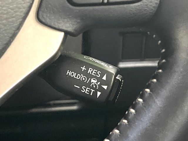 LEXUS NX300
