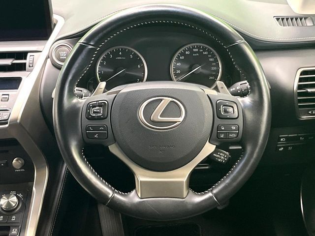 LEXUS NX300