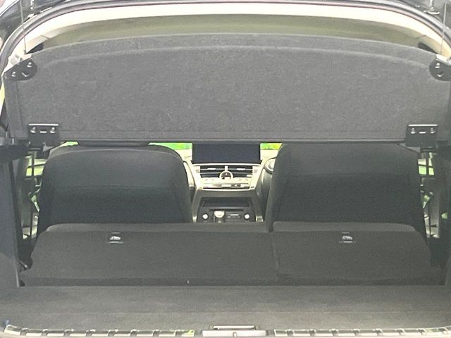 LEXUS NX300