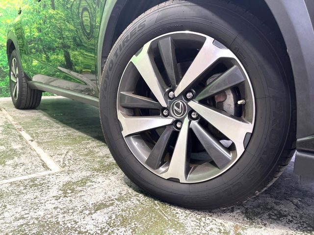 LEXUS NX300