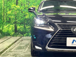 LEXUS NX300