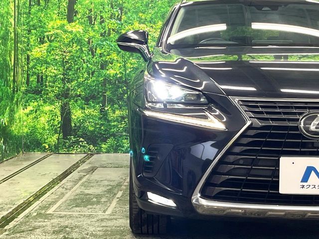 LEXUS NX300