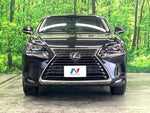 LEXUS NX300