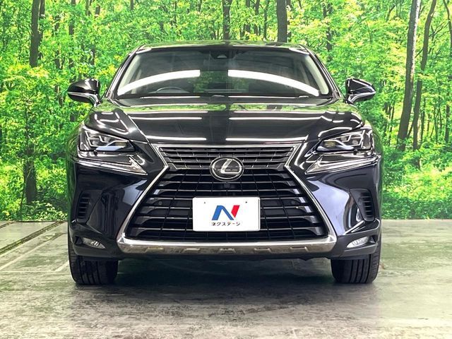 LEXUS NX300