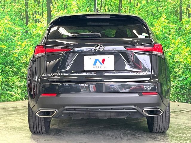 LEXUS NX300