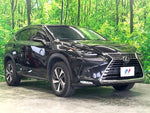 LEXUS NX300