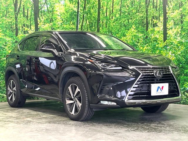 LEXUS NX300