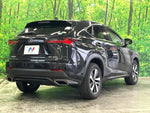 LEXUS NX300
