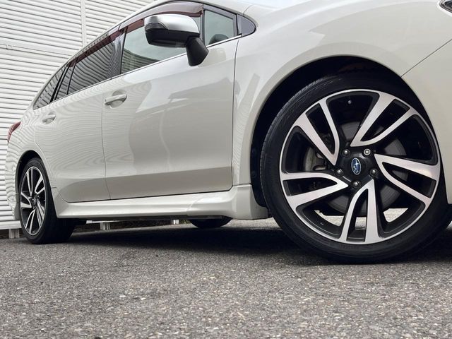 LEVORG