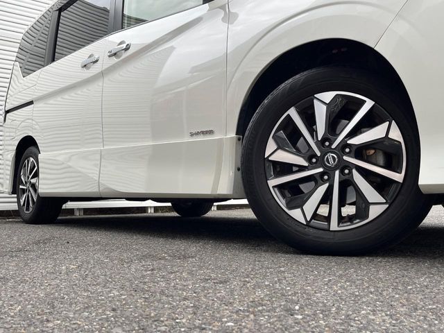 SERENA  S-HYBRID