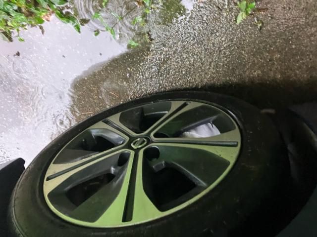 LEAF