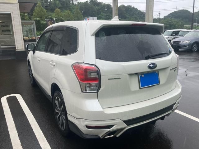 FORESTER