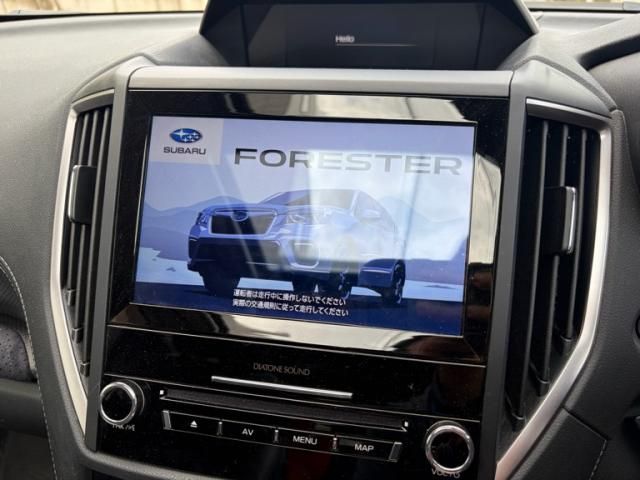 FORESTER