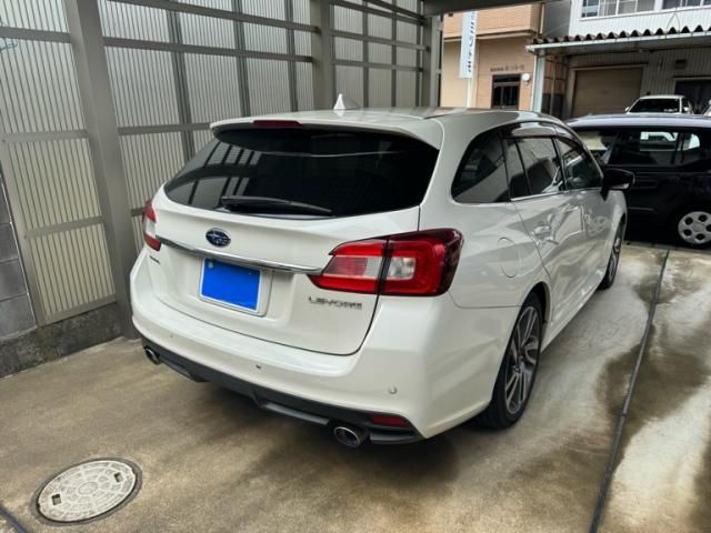 LEVORG