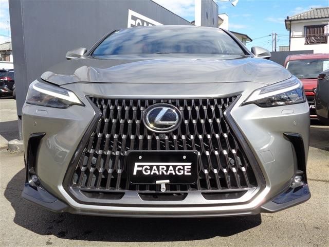 LEXUS NX350h AWD