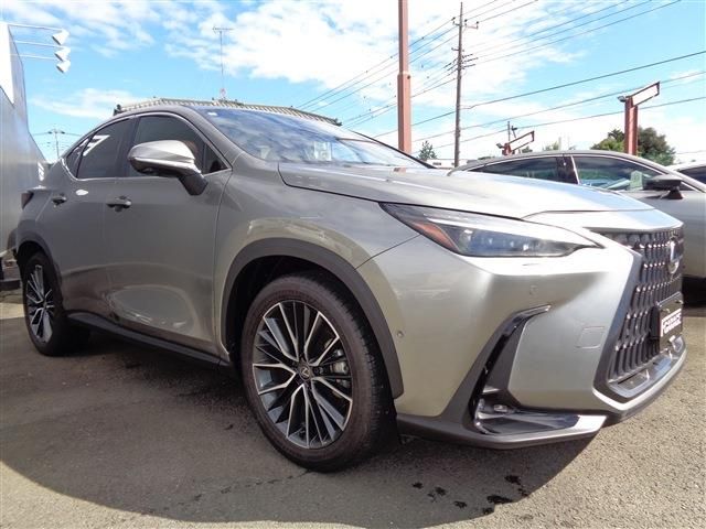 LEXUS NX350h AWD