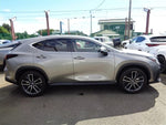 LEXUS NX350h AWD