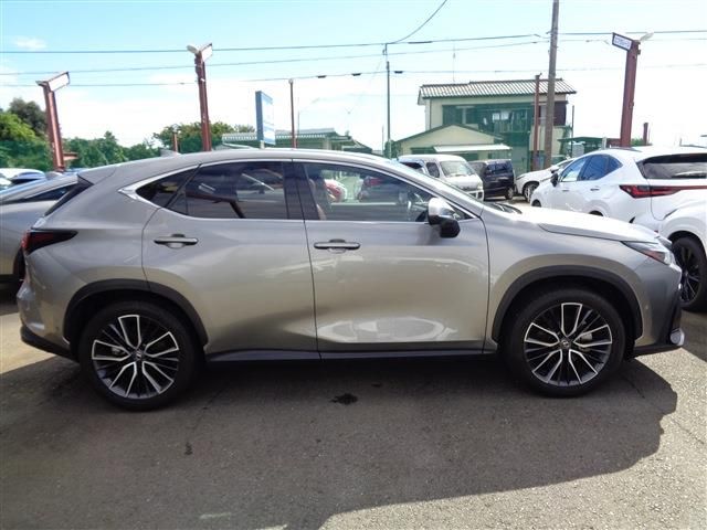 LEXUS NX350h AWD