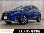 LEXUS NX300