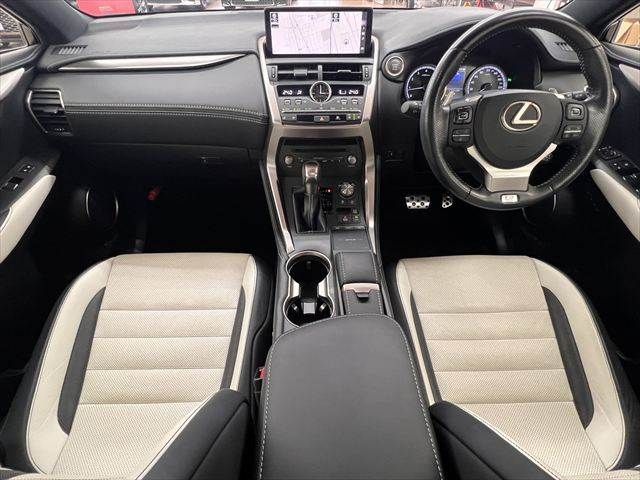LEXUS NX300