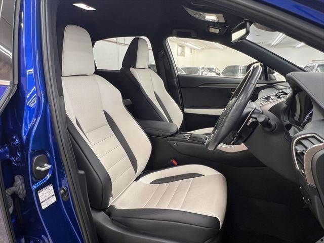 LEXUS NX300
