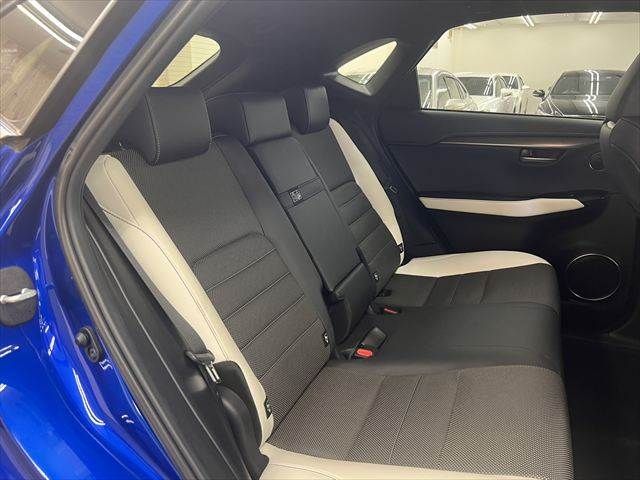 LEXUS NX300