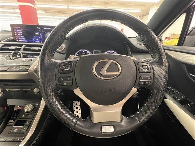 LEXUS NX300