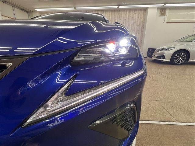 LEXUS NX300
