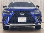LEXUS NX300