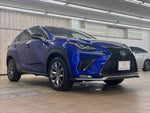 LEXUS NX300