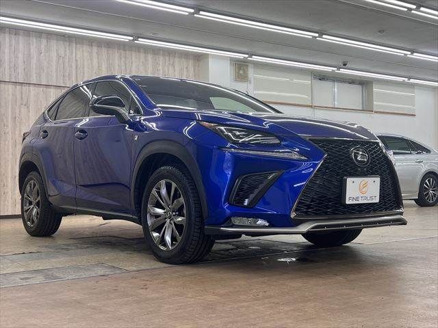 LEXUS NX300
