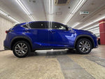 LEXUS NX300