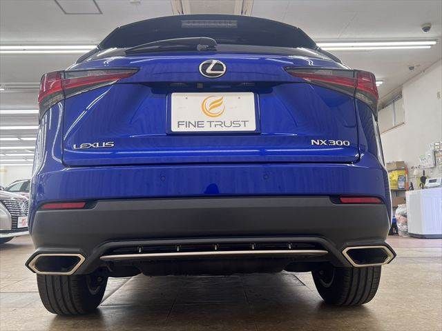 LEXUS NX300
