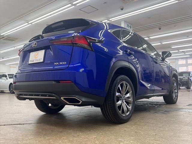 LEXUS NX300