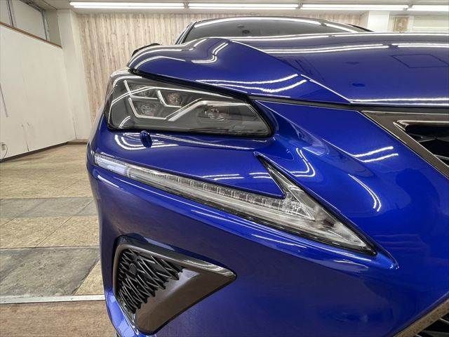 LEXUS NX300