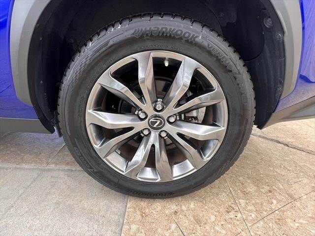 LEXUS NX300