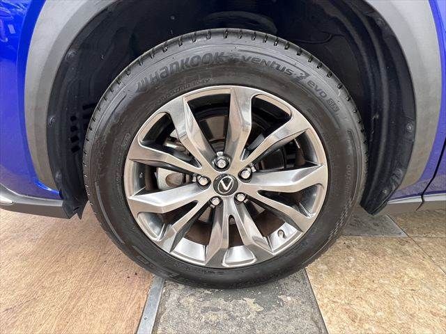 LEXUS NX300