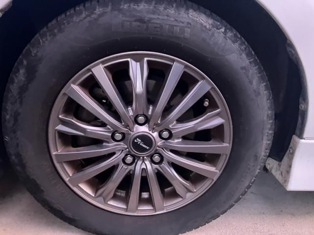 COROLLA RUMION