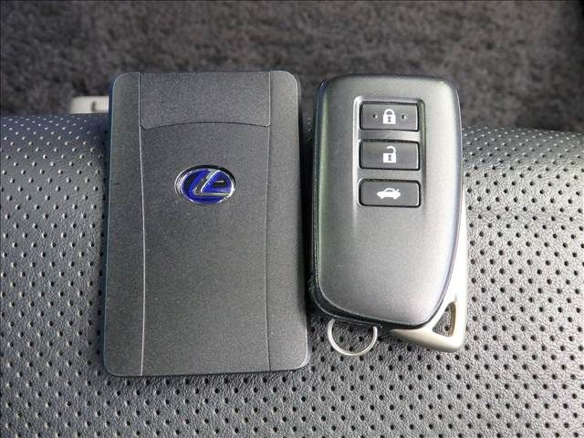 LEXUS RC300h