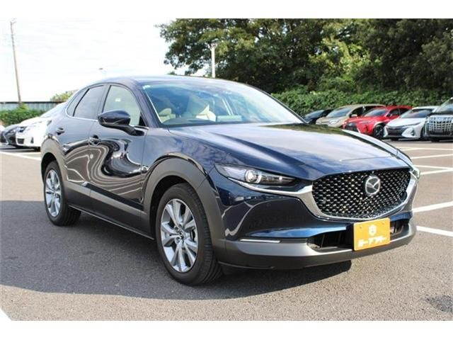 CX-30