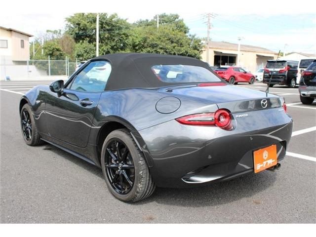 ROADSTER