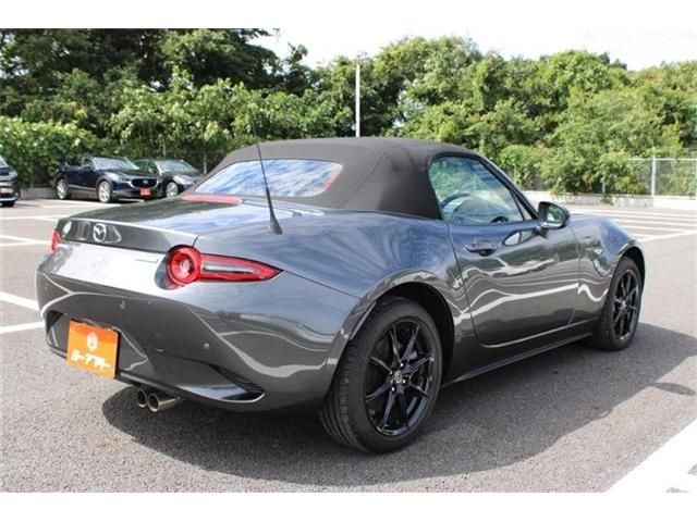 ROADSTER