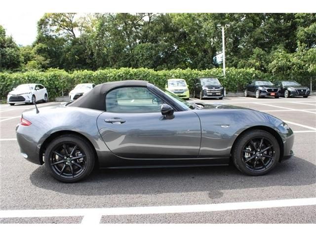 ROADSTER