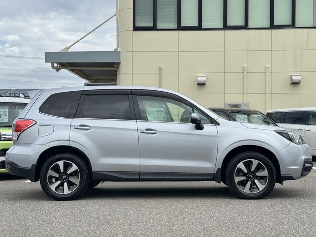 FORESTER