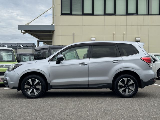 FORESTER