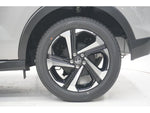 RAIZE HYBRID
